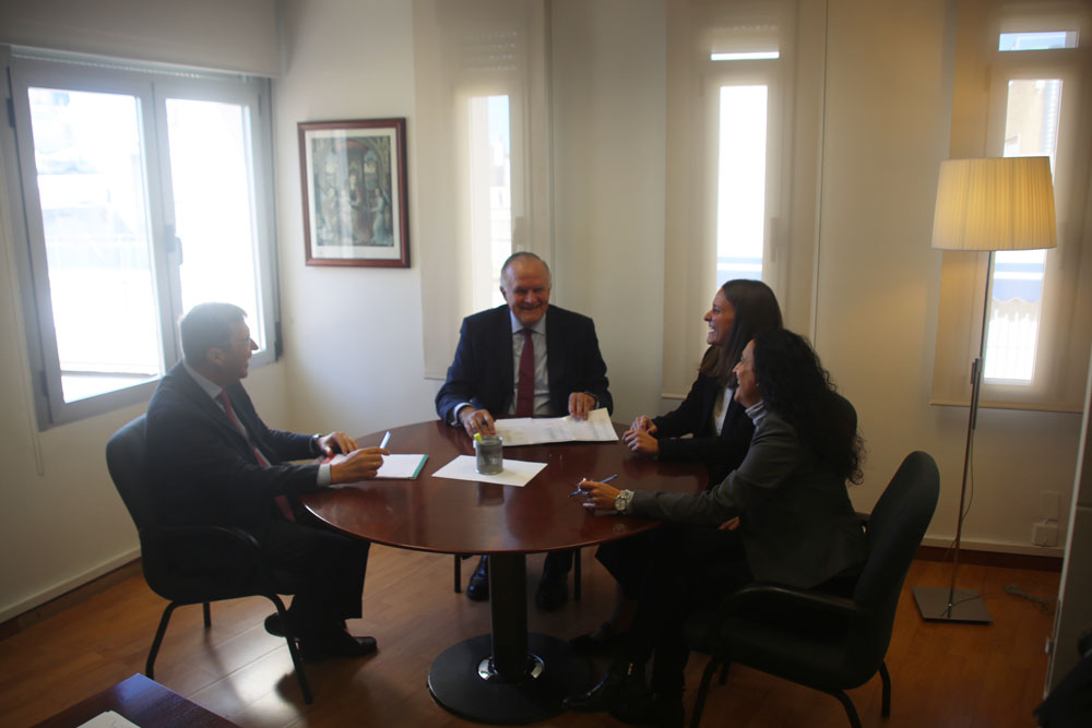 grupo de trabajo planyaudit